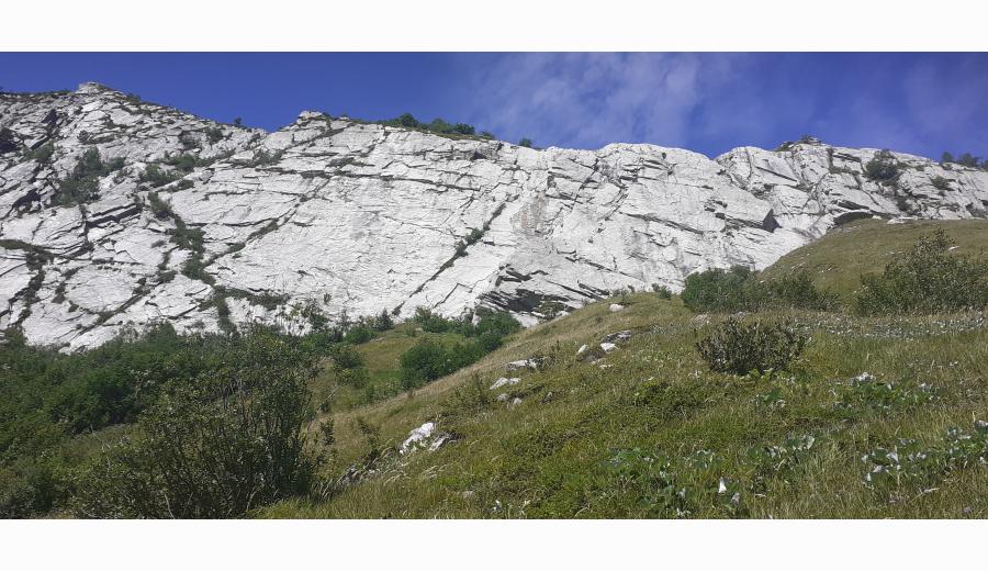 Petite Falaise de Seloge Voie d'escalade : La petite falaise de Séloge